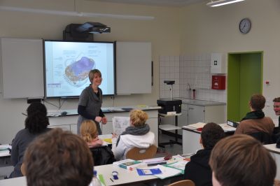 Smartboard im Einsatz